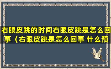 右眼皮跳的时间右眼皮跳是怎么回事（右眼皮跳是怎么回事 什么预兆）